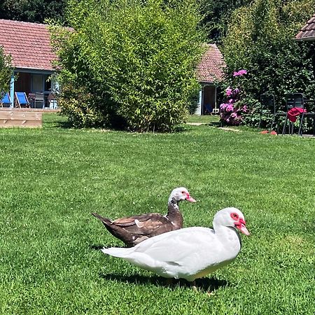 Le Pre Marin Villa Sotteville-sur-Mer Luaran gambar