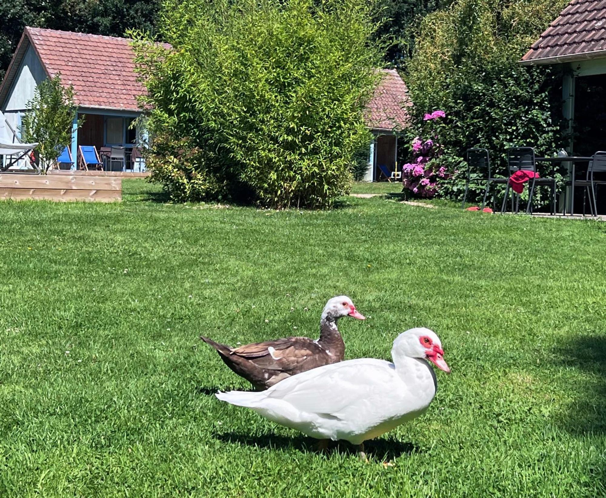 Le Pre Marin Villa Sotteville-sur-Mer Luaran gambar